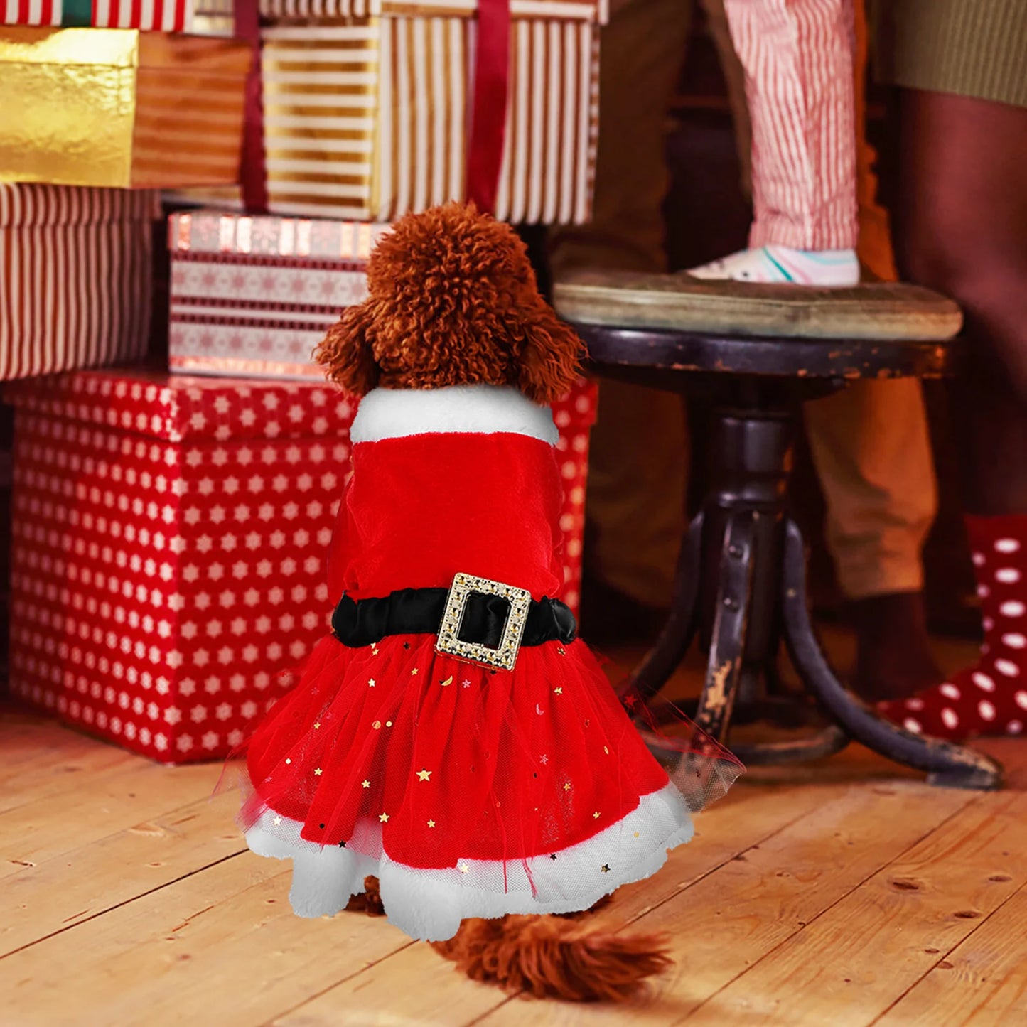 Kerstkostuum voor Honden 🎅 – Schattige Santa Outfit met strik