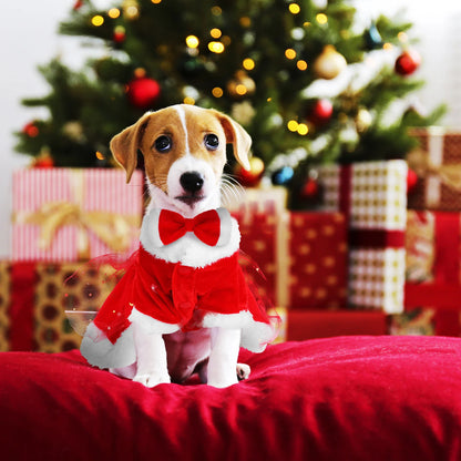 Kerstkostuum voor Honden 🎅 – Schattige Santa Outfit met strik